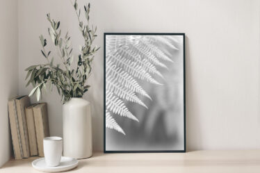Fern Fronds