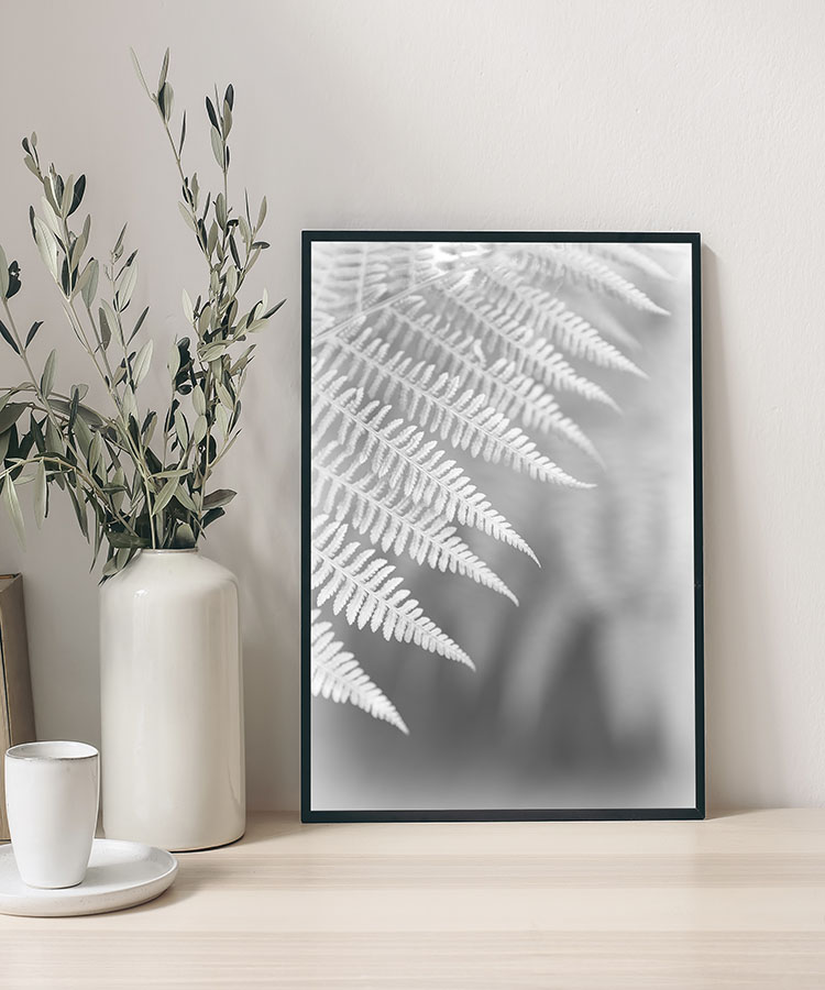 Fern Fronds