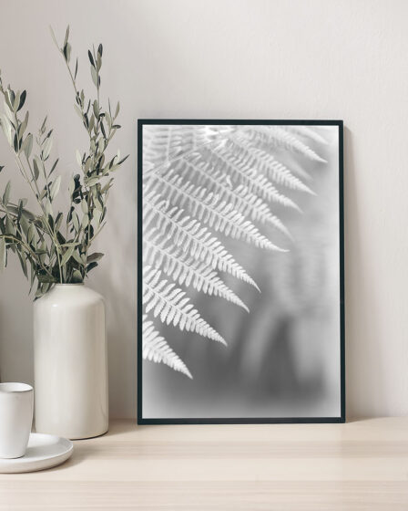 Fern Fronds